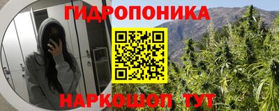 мяу мяу мука Кунгур