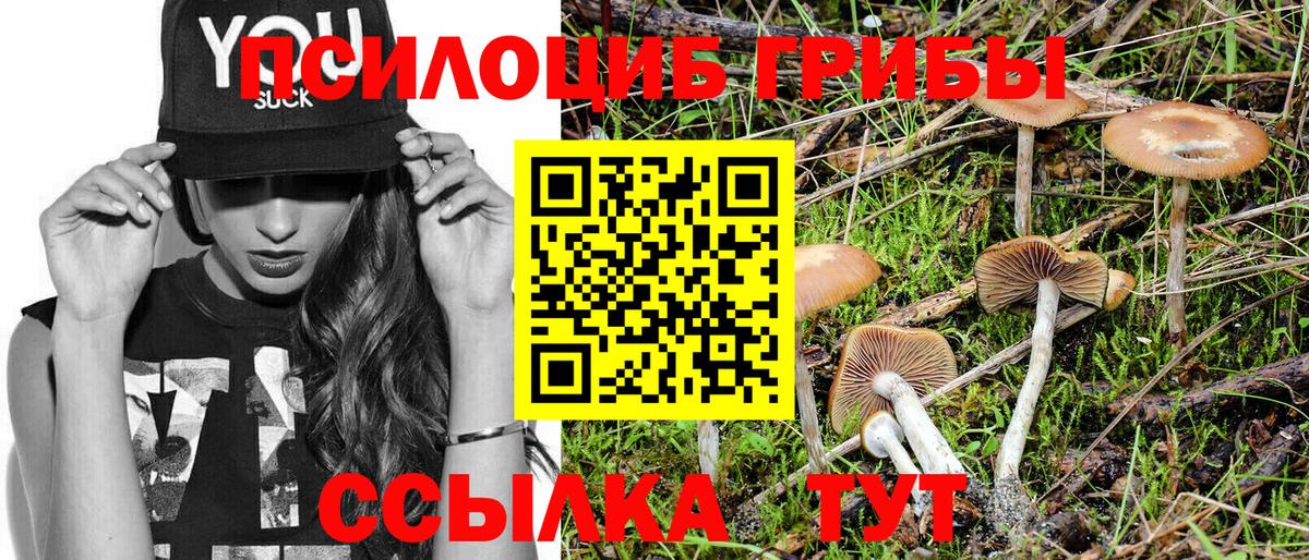 Галлюциногенные грибы мухоморы  Вход с VPN  Екатеринбург 